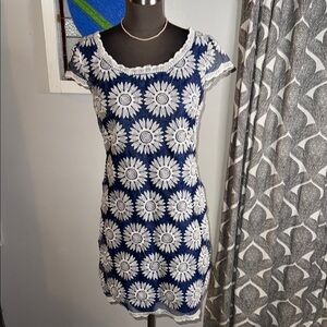 Betsy Johnson Daisy Embroidered Mini Dress
